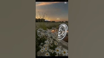 قرأن كريم حترمه♥️🌸💖💘 #القارئ #المصحف #لايك #الرحمن #اكسبلور #ترند #النظافه