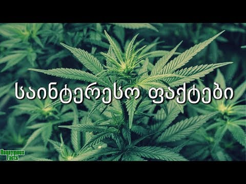 5 საინტერესო ფაქტი მარიხუანას შესახებ