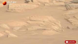 Mars Perseverance Sol - 1077 | Mars Most Latest 4k Video | Mars Live New Footage | Live Mars News