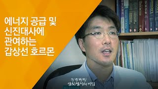 에너지 공급 및 신진대사에 관여하는 갑상선 호르몬 - (20120901_425회 방송)_갑상선암의 습격