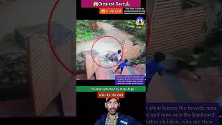 Children attacked by stray dogs | o my god | respect #shorts #ytshorts #trendingshorts #respect