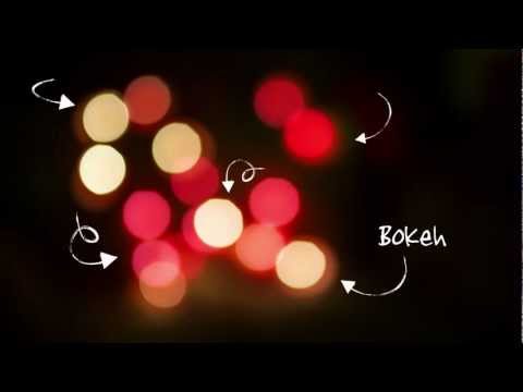 Photo : comment faire un bokeh en 5 minutes !