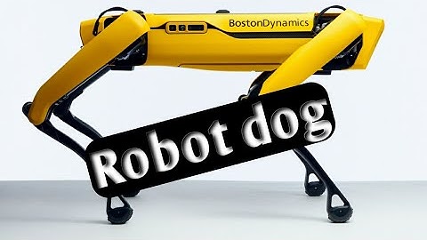New dog like robot | Robot dog from Boston Dynamic