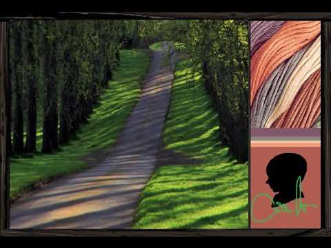 Nick Drake - Time Has Told Me *81