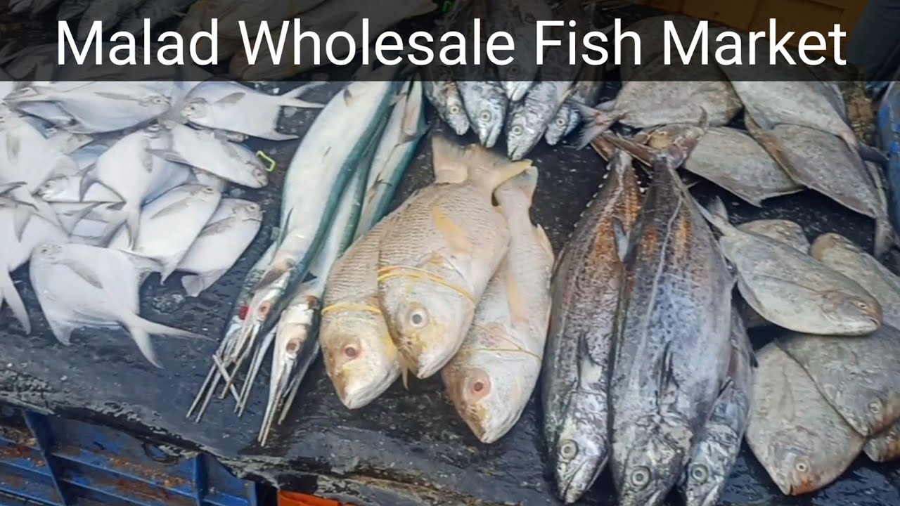 Malad wholesale fish market मुंबई का सबसे सस्ता fish market Mumbai