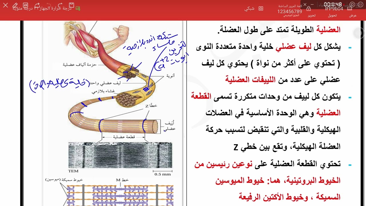 العضلات وبعض مشكلاتها ج1