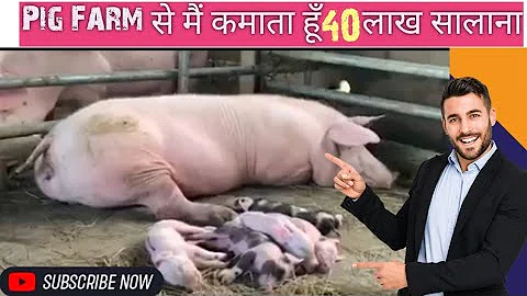 How Do Canadian Farmers Trap Millions Of Giant Wild Boars  #boarhunting #wildboar #hunting #hoghunt