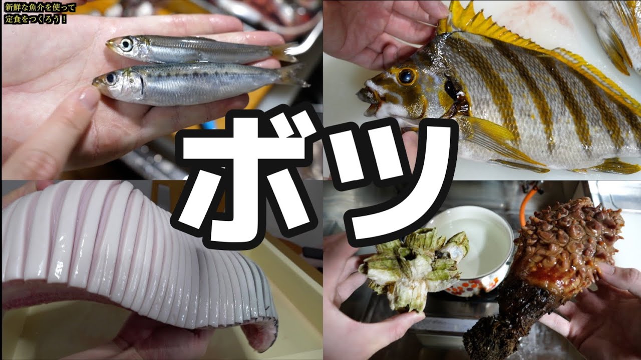 今年きまぐれにボツにした動画集 - YouTube
