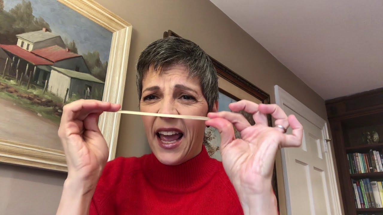 How your voice works