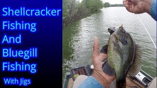 Shellcracker Fishing - Bluegill Fishing - Chinquapin Fishing