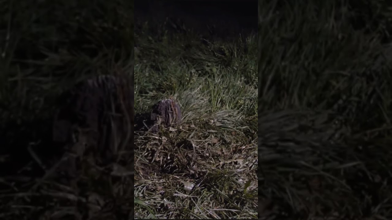 Новый ход строительства бункера и осмотр скважины