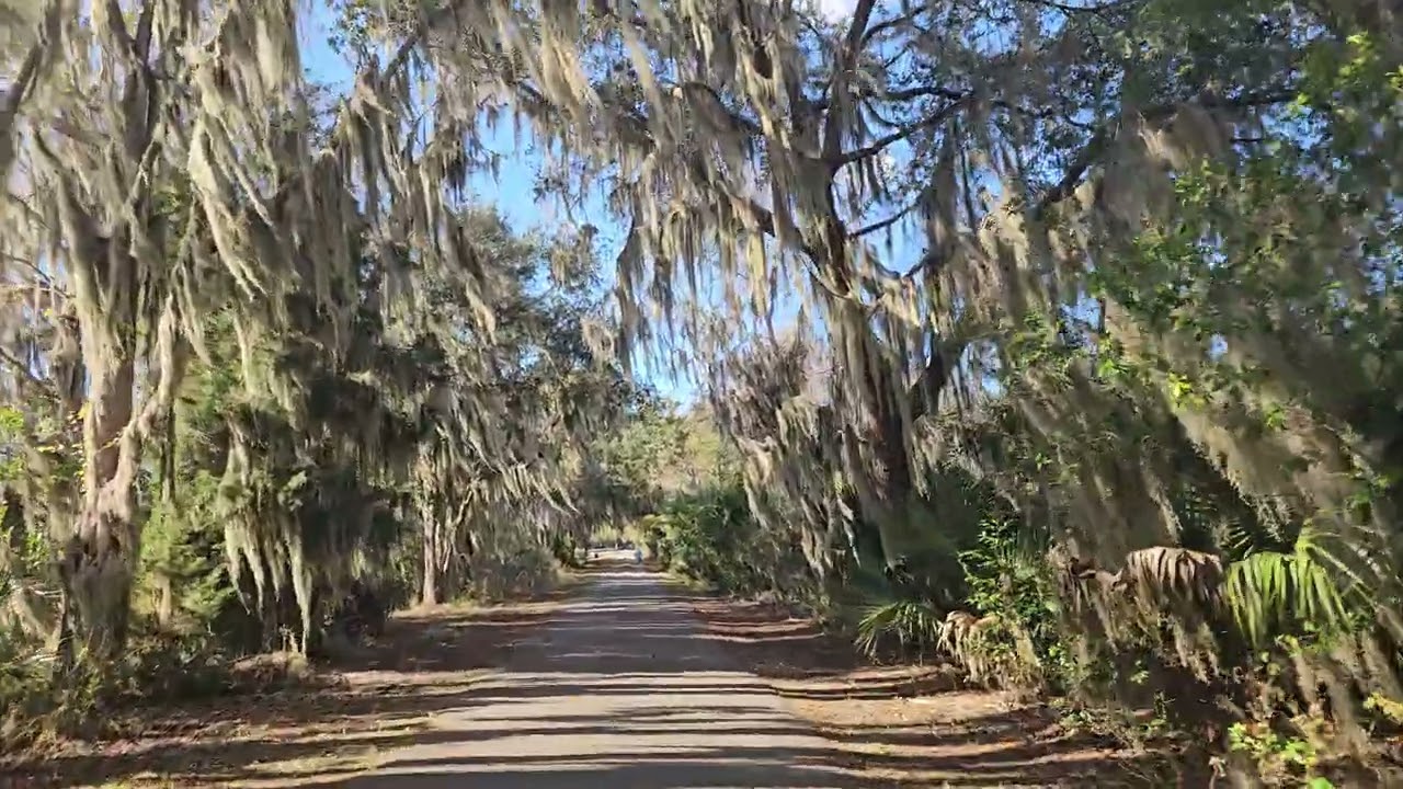 2026 JAN Florida Inverness Withlacoochee Trail Biking4