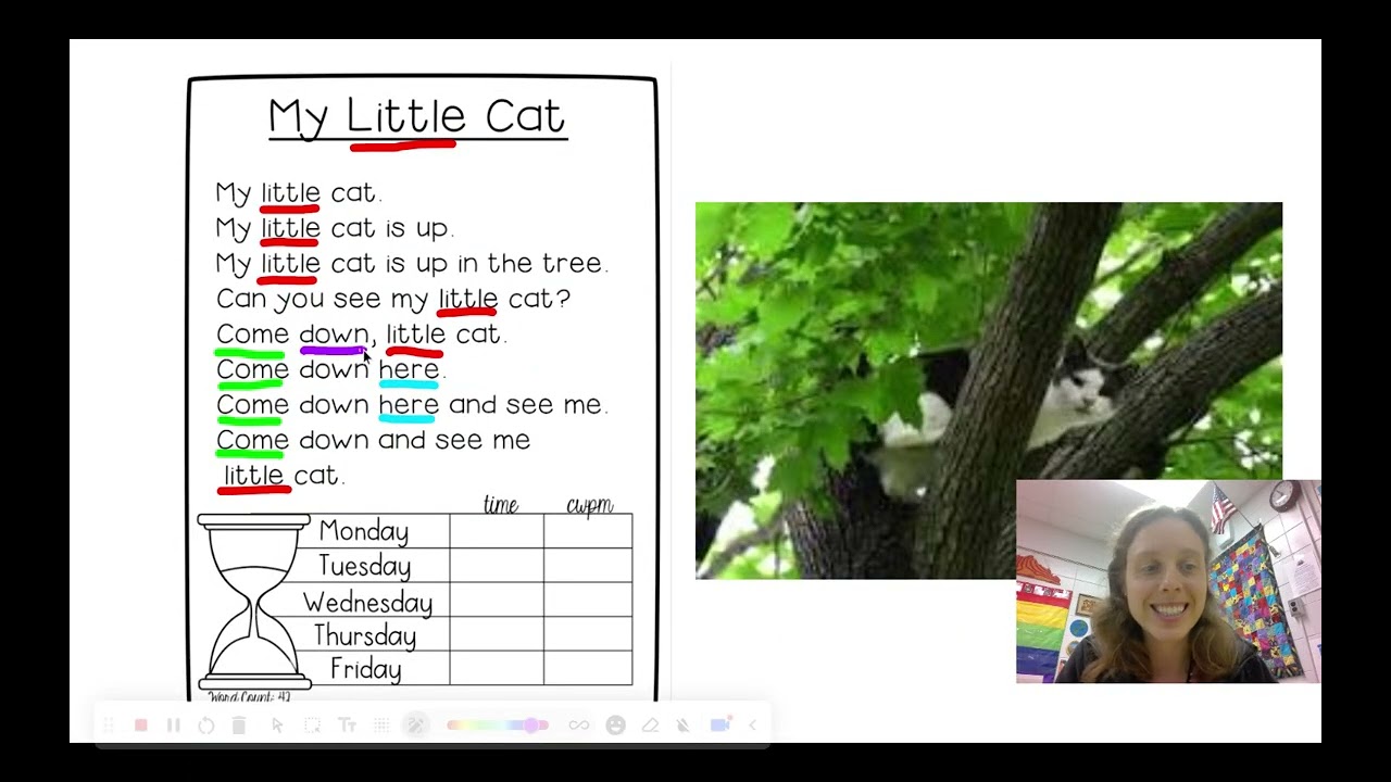 My Little Cat pre primer fluency reading - YouTube
