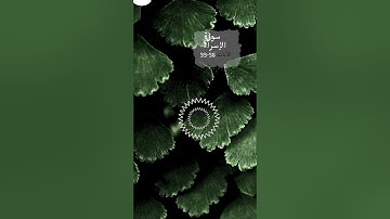 تلاوة عطرة من سورة الإسراء الآيات 33 - 35