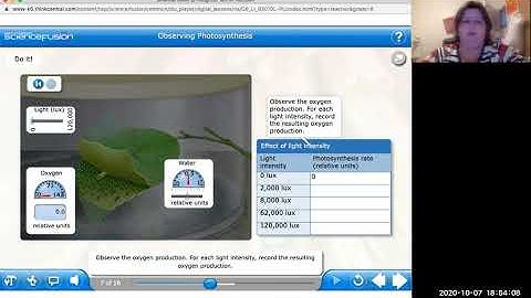 A:1:6 Virtual Lab: Observing Photosynthesis Video
