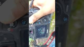 canon 6d | canon camera photoshoot | model Eos 6d #shorts #canon6d