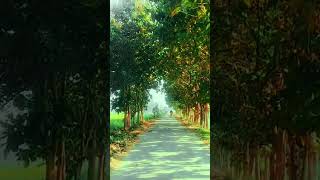 day 39 of 100 days challenge ll mini vilog.#youtubeshorts #trendingshorts #ytshort #minivlog