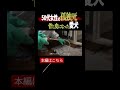 "たった1つの糞"を残し餓死した犬。生活保護受給者の孤独死《特殊清掃・遺品整理》vol.10