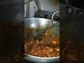 New Mini Vlog✨|Spicy Masala Maggi Recipe 🍜🔥 | #shorts#minivlog #maggirecipe #spicymaggirecipe