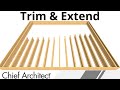 Using Trim and Extend Commands