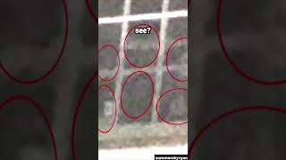 Top 5 Creepy Viral Photos