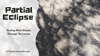 Almost creepy! Shadows of trees during partial eclipse! No words; just uploaded it as is #eclipse