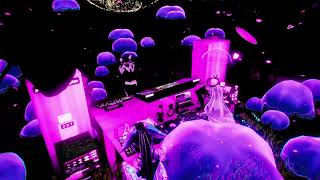 Googie Forest Popup - Jungle / DnB