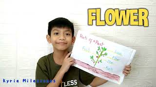 PARTS OF THE PLANTS AND THEIR FUNCTIONS | SCIENCE FOR GRADE 1 | PERFORMANCE TASK IN SCIENCE VLOG 650