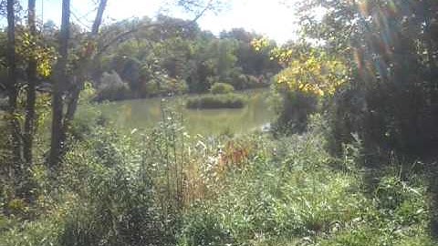 ACIM Lesson 271: Christ