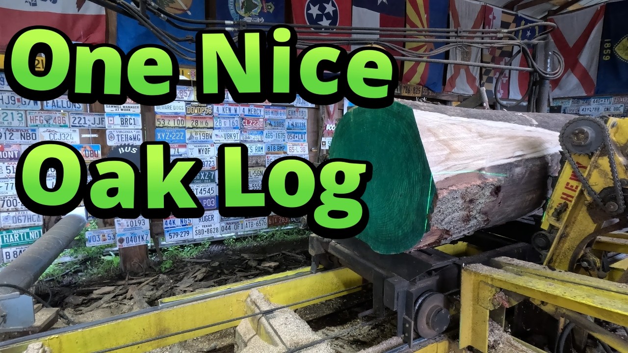 One nice oak log # 907