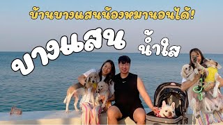 EP.23 For rest house&space พาหมาเที่ยวบางแสน เที่ยวบางแสน หาดวอน