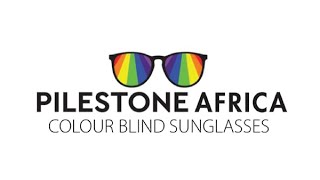 FlySafair Business Booster Winner 2022 - Pilestone Africa