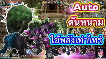 Cabal : Infinite Combo : Auto ดันหนามใช้พลังเท่าไหร่