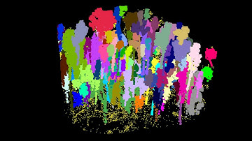 Airborn 3D Lidar Data Tree Segmentation