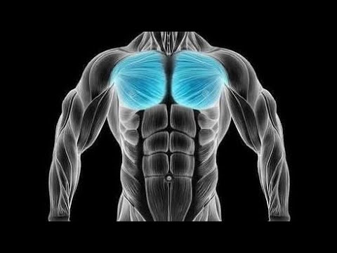 The best exercise Chest growing 🏋️💪☠️ - YouTube