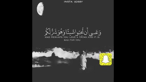تلاوة بصوت الشيخ ماهر المعيقلي