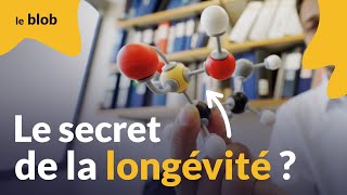 La taurine peut-elle freiner le vieillissement ? | Actu de science