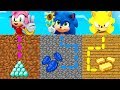 Minecraft PE : DO NOT CHOOSE THE WRONG MAZE! (Baby Sonic, Super Sonic & Amy Rose)