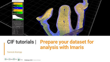 CIF Tutorials | Imaris : Prepare your data for the analysis