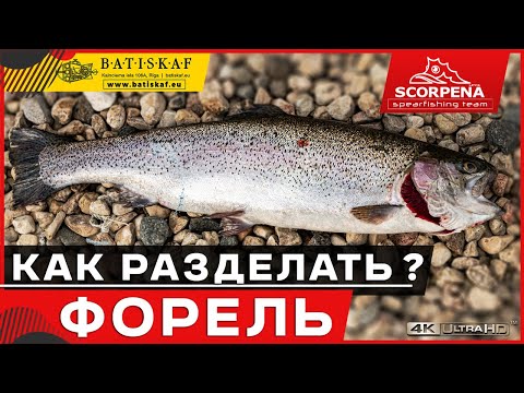 Как разделать форель.Лучший способ.Потрошим и чистим форель