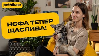 Нєфа! Історія порятунку собані