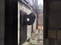 لما تكون جاي عالبيت بسرعة محشوك بدك تفوت عالتواليت        