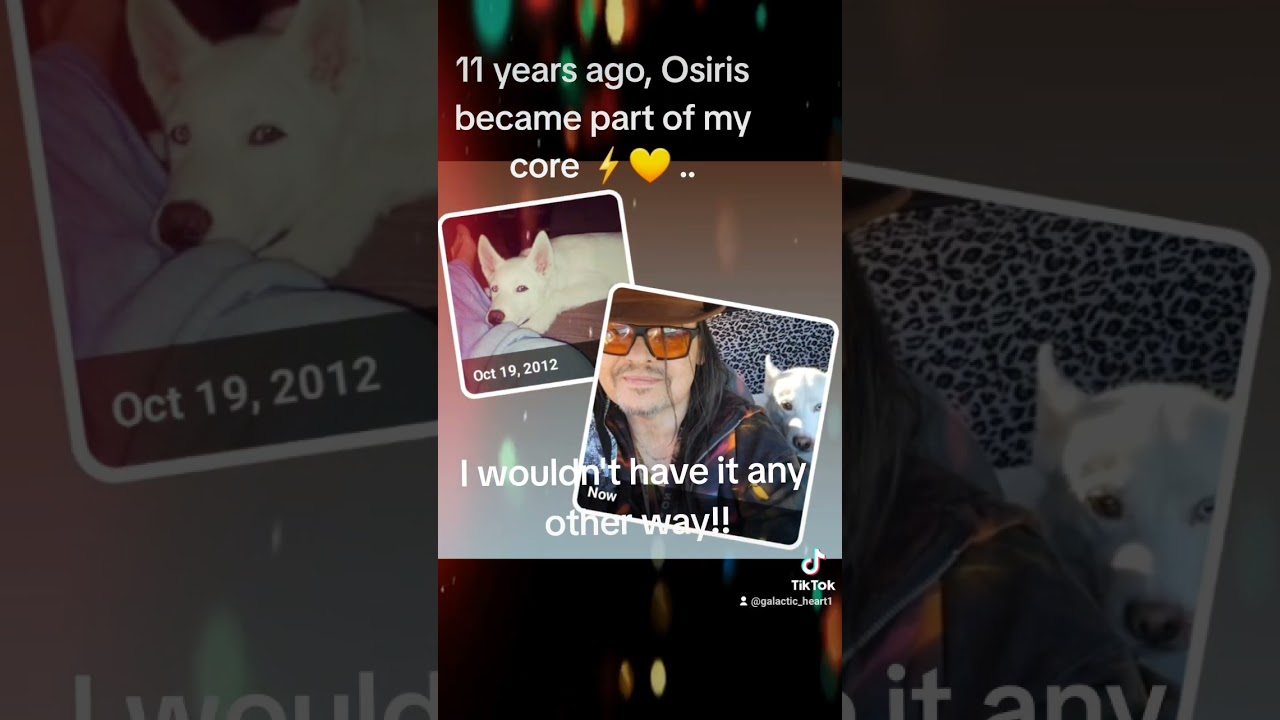 Osiris 🐾 ⚡️, part of the center of my core ✨️💛.