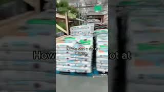 Shouting Donald Trump At Costco Prank Reaction