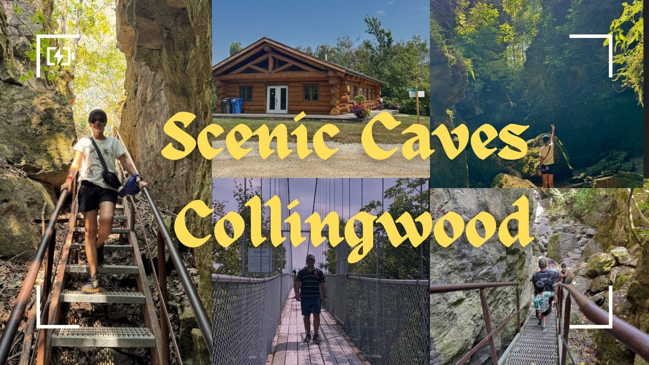 Exploring Scenic Caves Collingwood | Suspension Bridge, Train Ride & Family Adventure