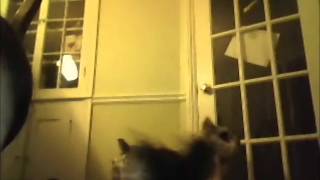 Behind The Scenes With Tilly And Casey