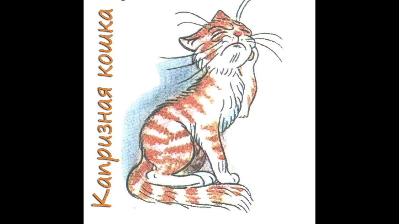 Капризная кошка. Сказка в картинках В.Сутеева. - YouTube