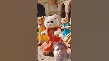 Thumbnail of #cat #funny #music #song #https #love #inventiontech #drgadget