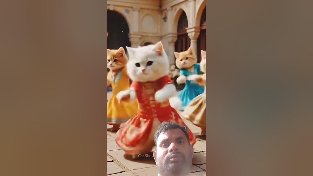 #cat #funny #music #song #https #love #inventiontech #drgadget
