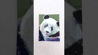 Hope you receive the love you need! Stay cute and healthy, pandas 🖤🐼 #shorts #artist #panda #art